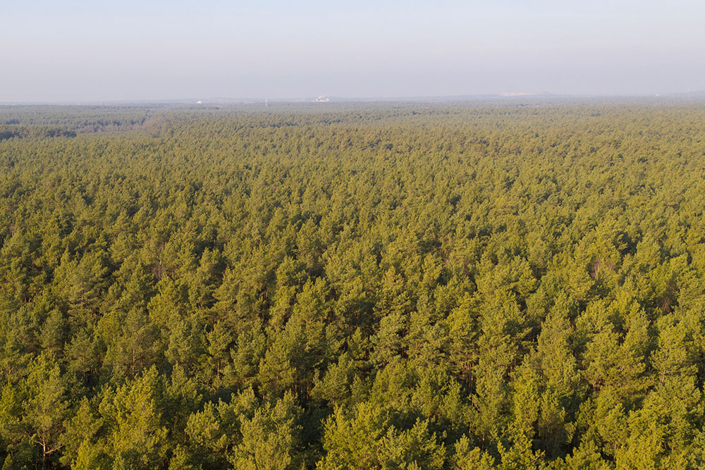 REUTERS AXEL SCHMIDT (2)