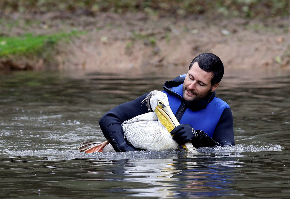 REUTERS/David W Cerny