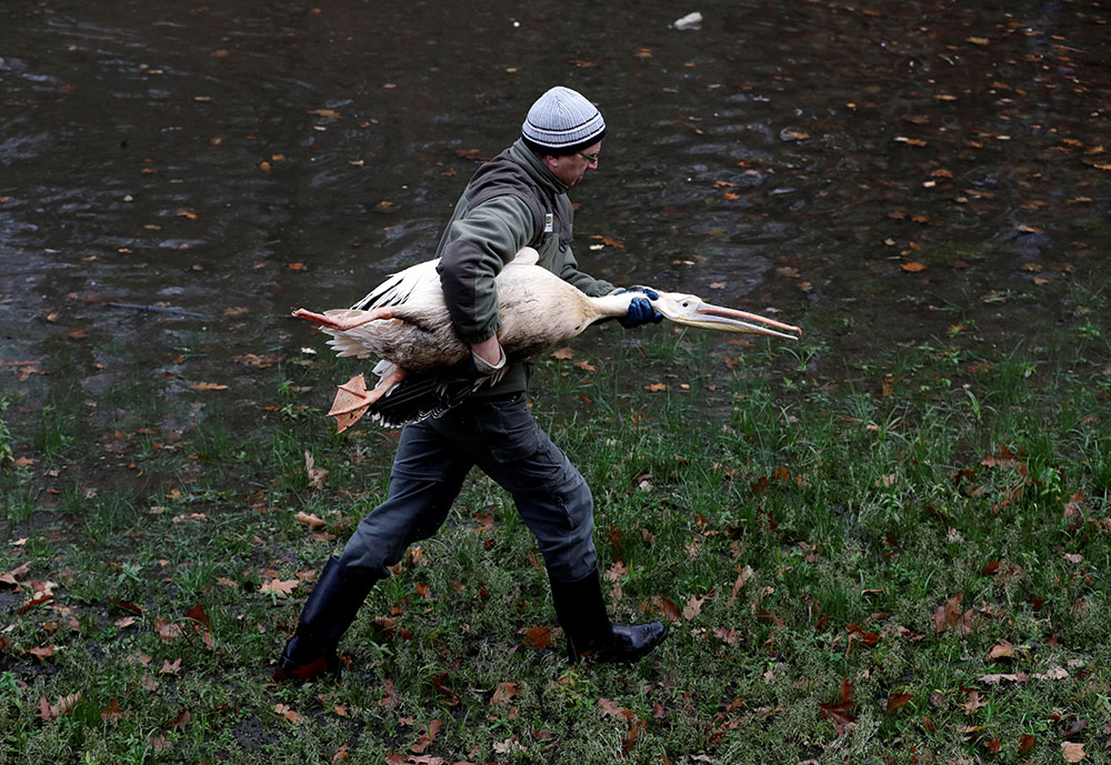 REUTERS/David W Cerny