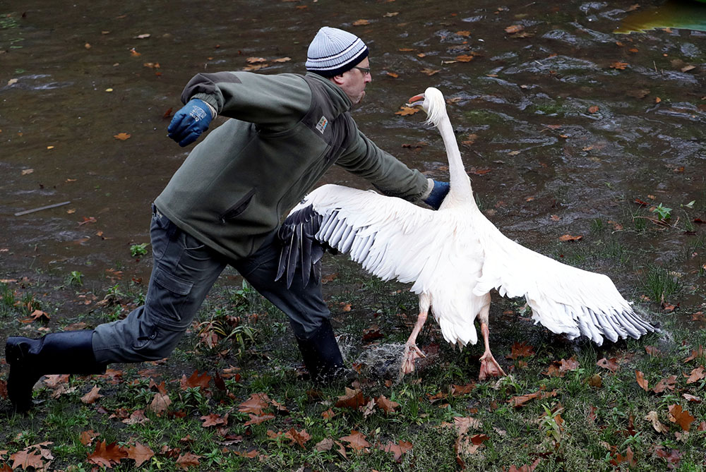 Reuters DAVID W CERNY (4)