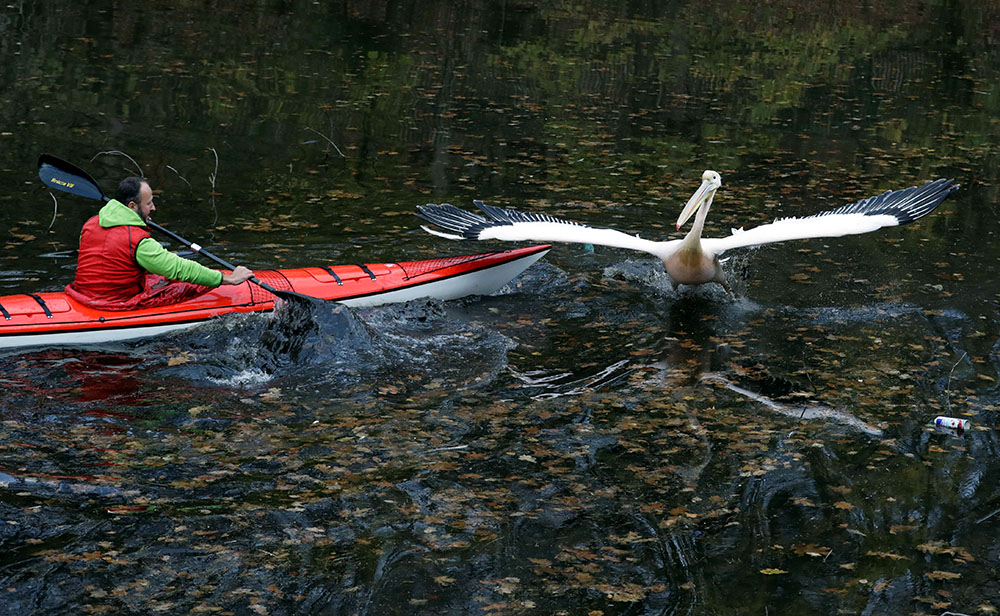 REUTERS/David W Cerny