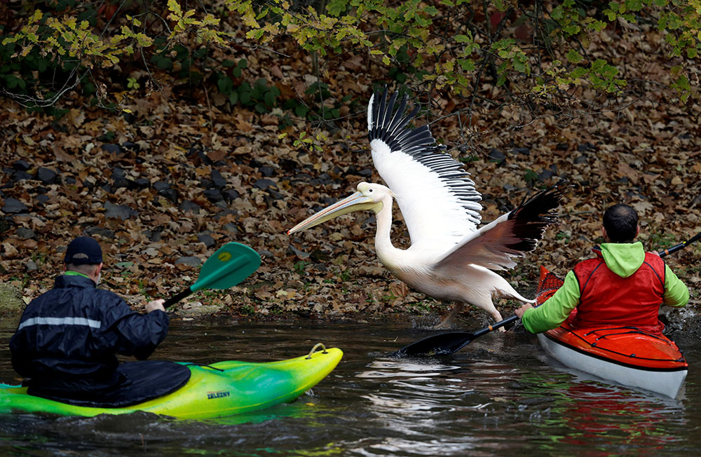 Reuters DAVID W CERNY (6)