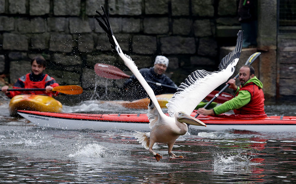 Reuters DAVID W CERNY (7)