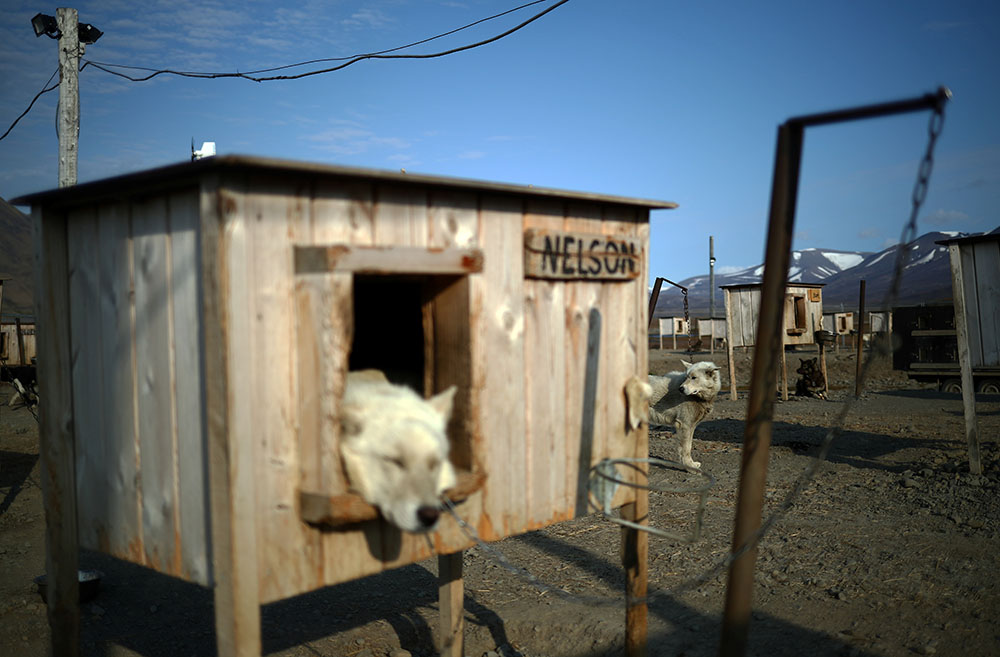 Reuters/Hannah McKay