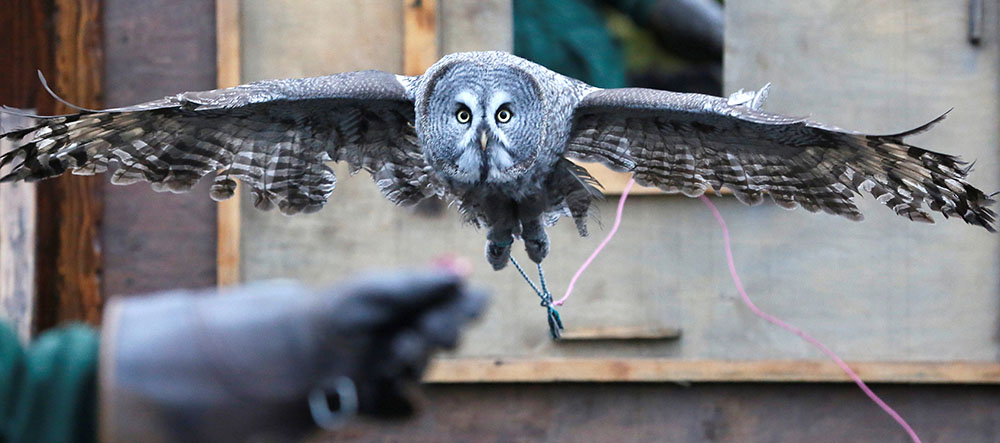 REUTERS Ilya Naymushin (3)