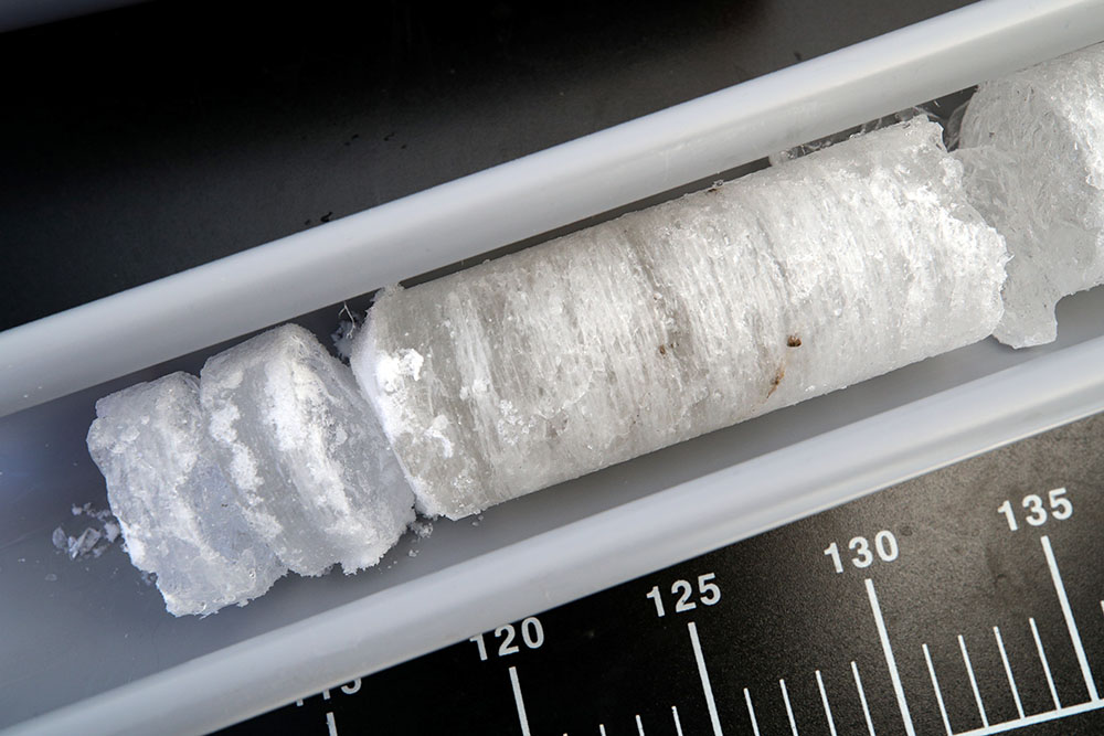 REUTERS LISI NIESNER (11)