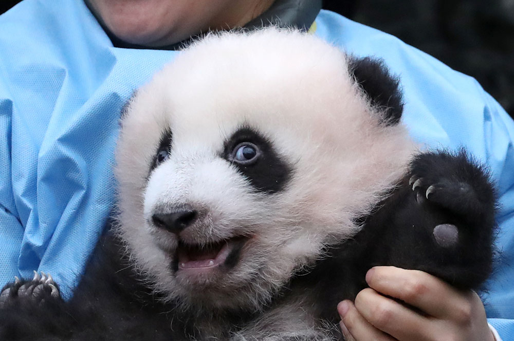 REUTERS YVES HERMAN (2)