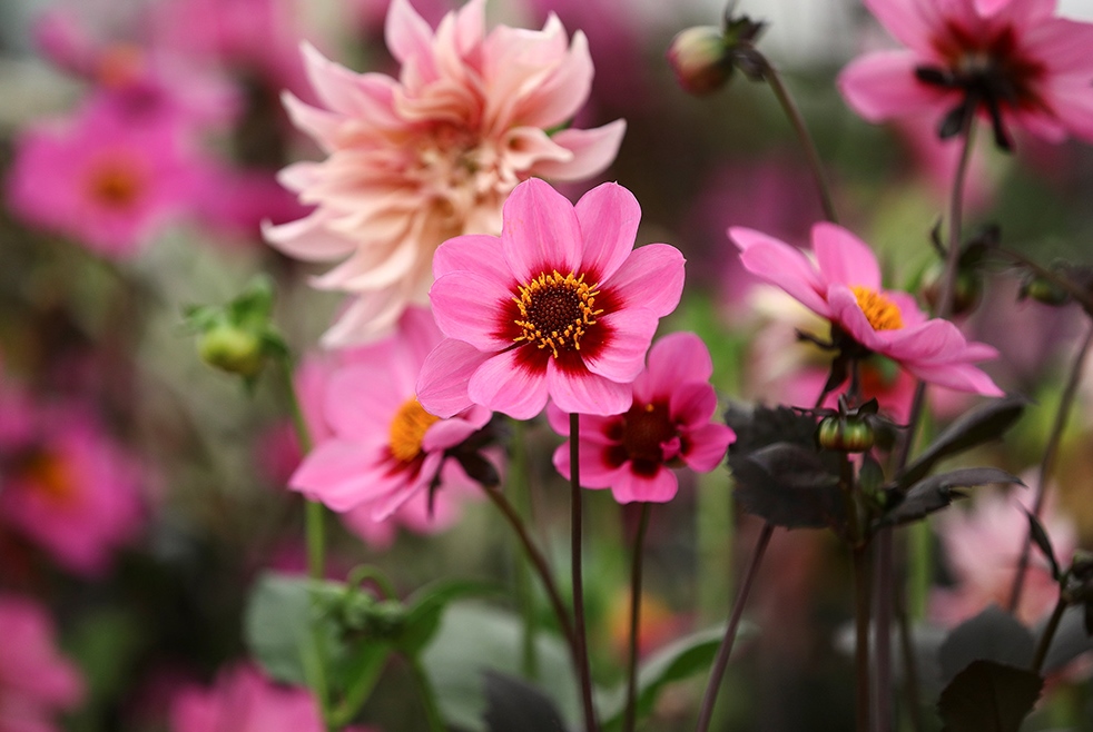 Reuters/Simon Dawson