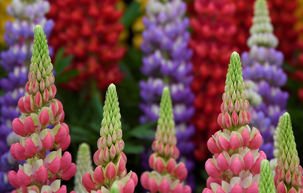 REUTERS/Toby Melville