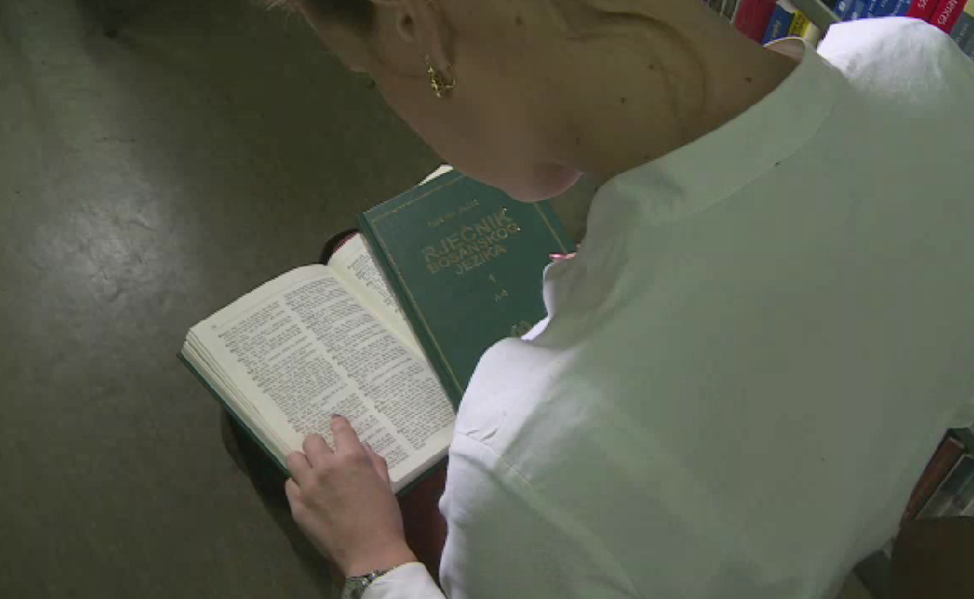 rječnik bosanskog jezika