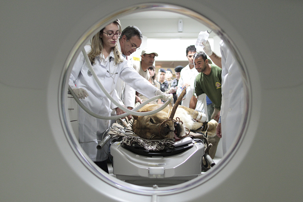 REUTERS/Ueslei Marcelino