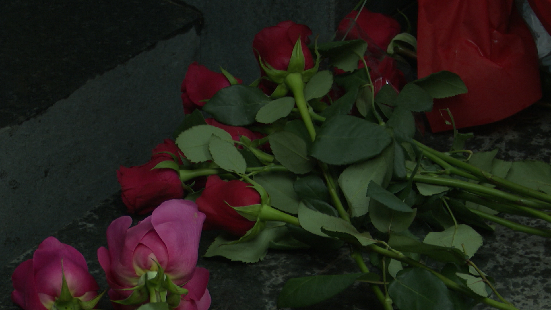 SA-.00_00_13_01.Still005