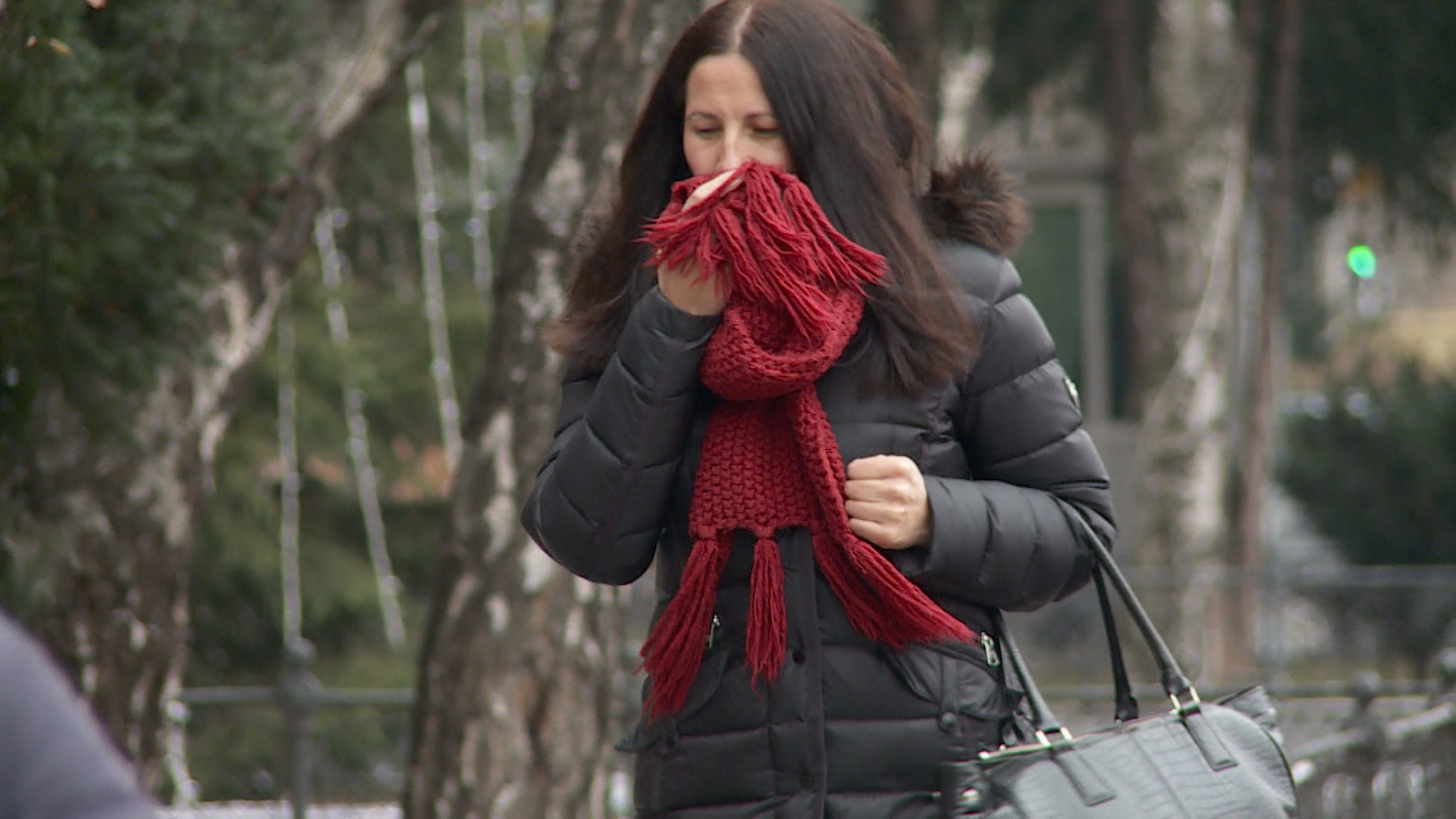 SA-.00_00_13_16.Still001