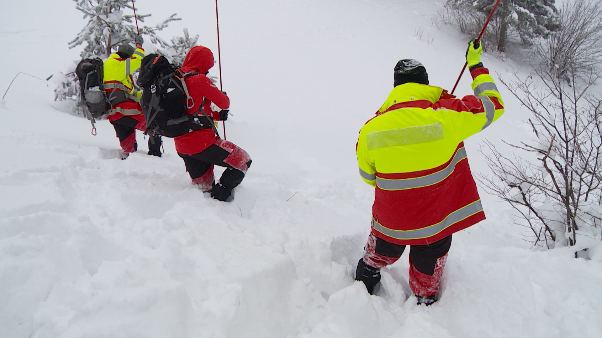 SA-BADNJI DAN PKG-ALT-1(20190106-135947187).00_04_02_08.Still009