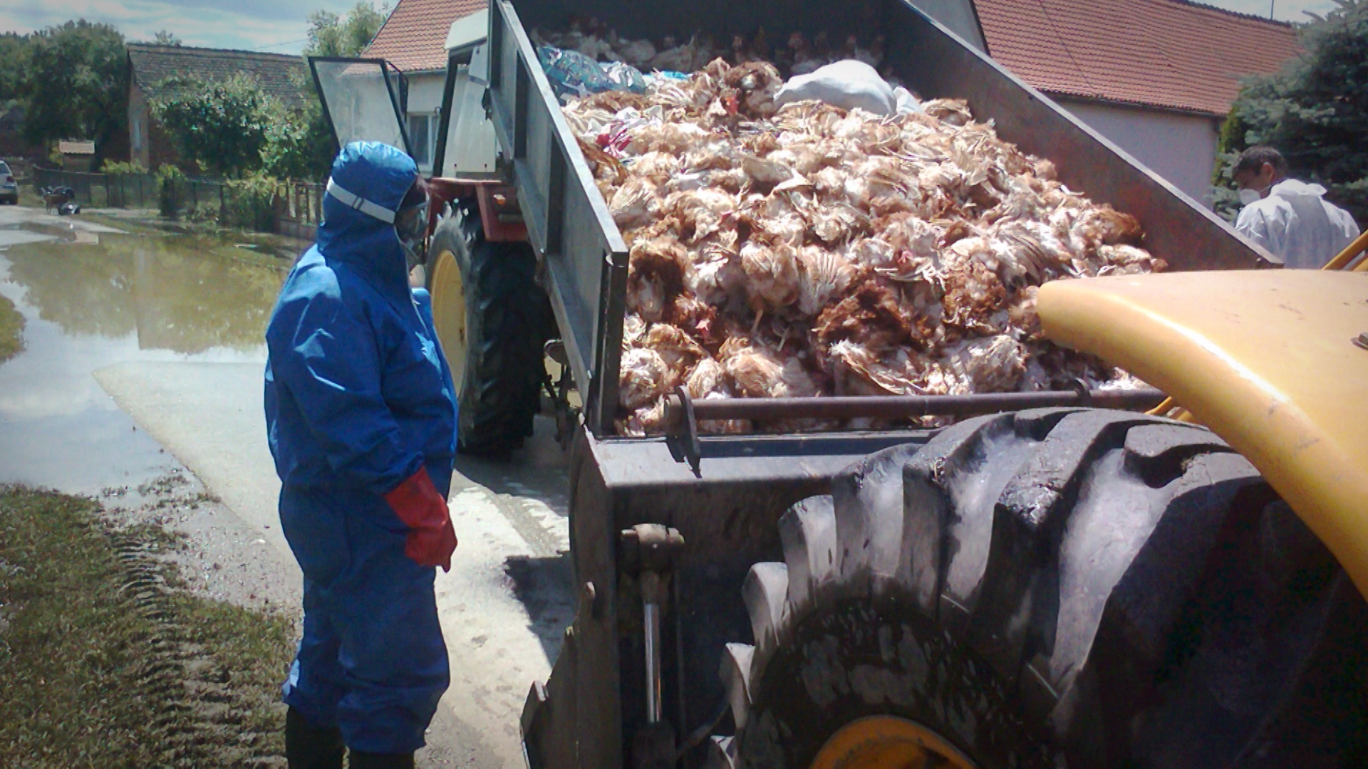 SA-DEMINER SARIC PKG-SEM(20200521-183714148).mxf.00_00_14_01.Still001