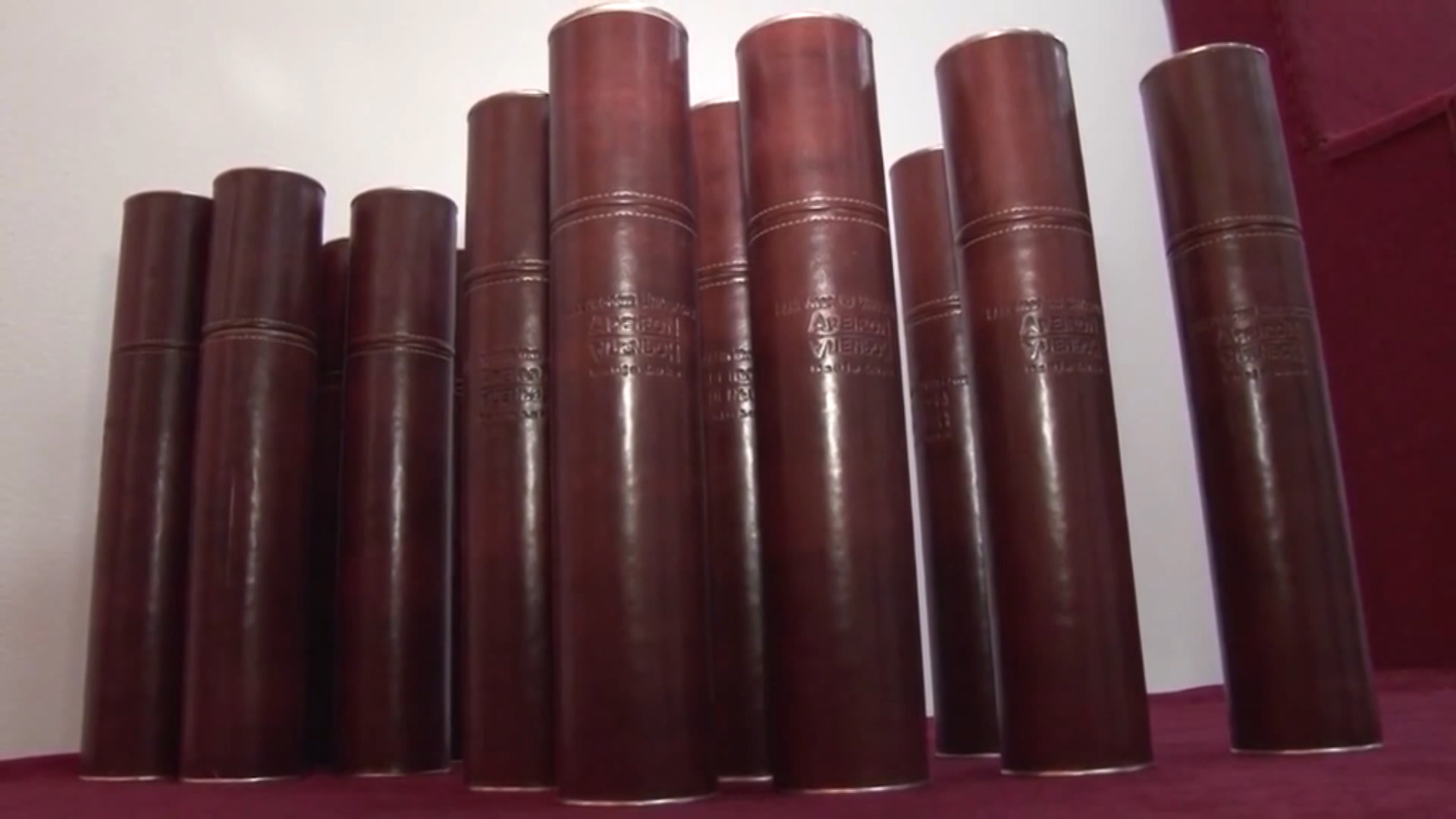 sa-diplome megatrend-pkg-snm(20191203-153030543).mxf.00_00_53_16.Still001