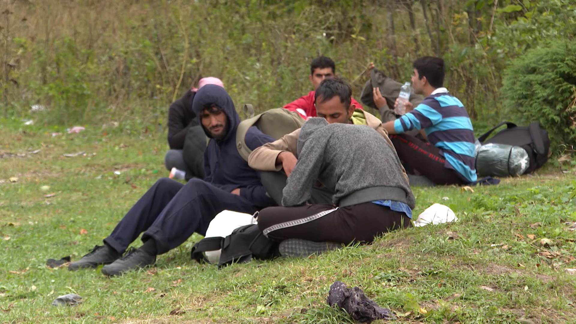 SA-DIVLJI KAMPOVI PKG-ADS-1(20201002-161033198).mxf.00_00_07_10.Still002