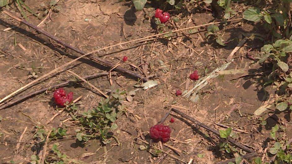 SA-EUROPSKI BLOK LKLV-ANM-1(20180621-154813506).00_02_28_12.Still003