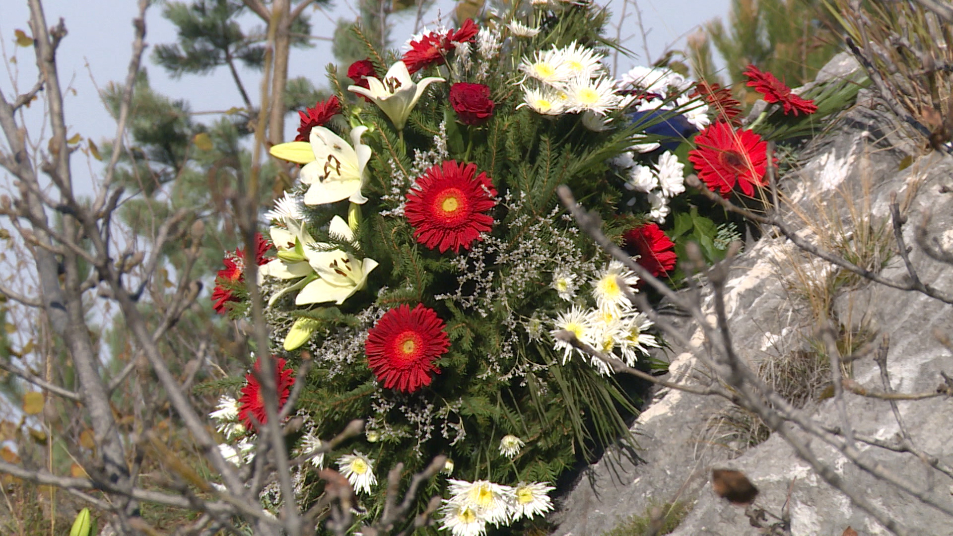 SA-FRAJLE PKG DU-DZV-1(20170928-153211434).Still007