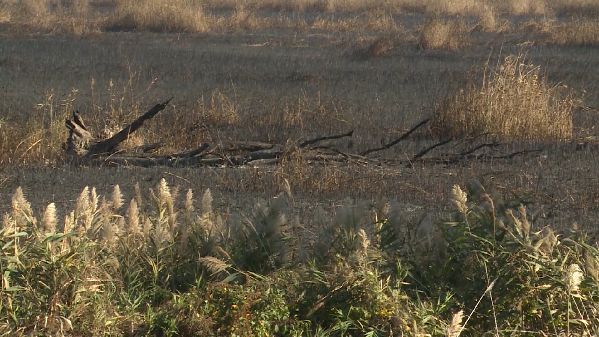 SA-FRAJLE PKG DU-DZV-1(20170928-153211434).Still014