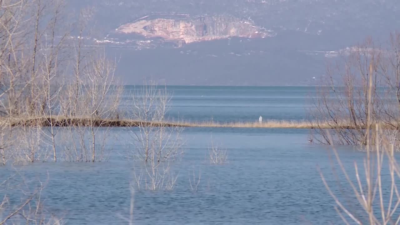 SA-HDZ I BUSKO PKG-TJD-1