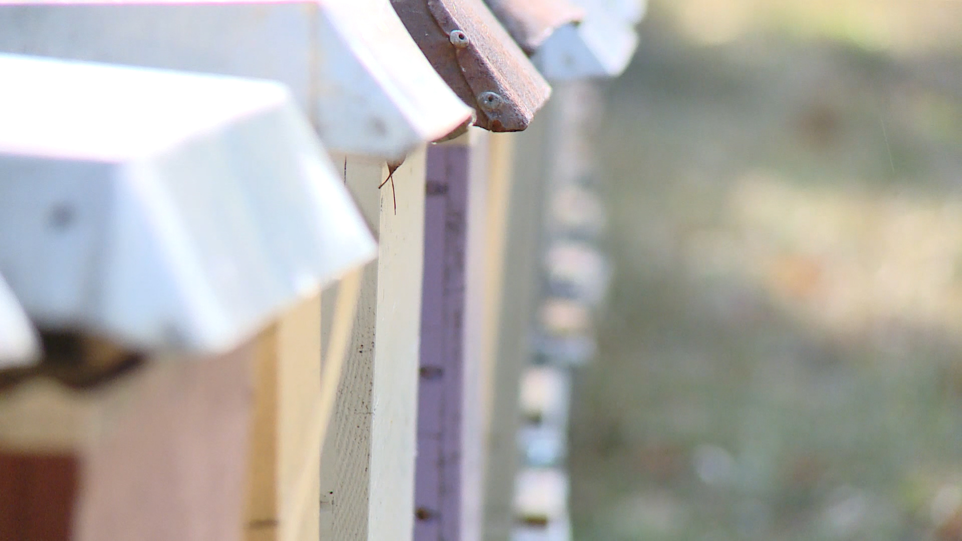 SA-JAPANAC U BL-PKG-SNM-1(20181103-153534654).00_00_34_21.Still012