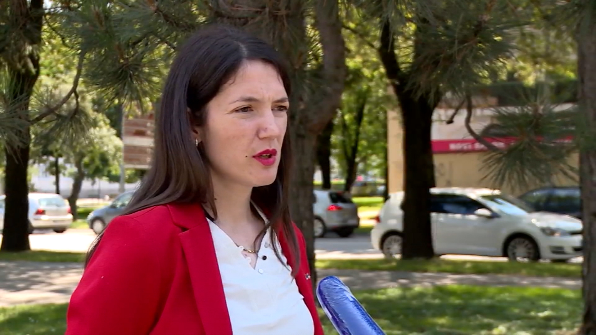 SA-JELENA TRIVIC INTW-DU-BOB-1(20200624-151322279).00_09_19_04.Still001