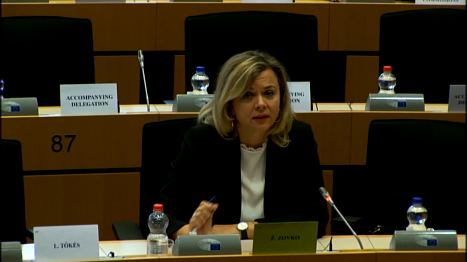 sa-jusic fono-esm(20181122-152040626).00_01_35_06.Still009