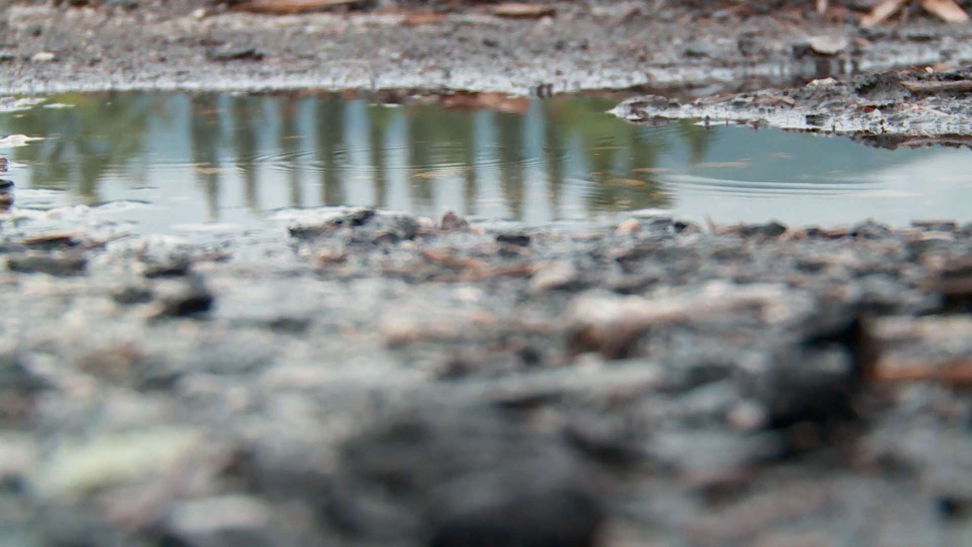 SA-KANCEROGEN PKG-SNM-1(20190527-185828057).00_00_06_11.Still001