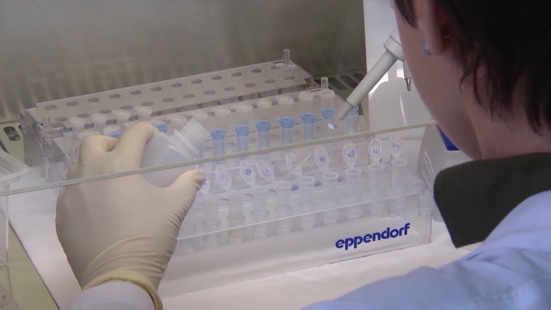 SA-KORONA BL PKG-19-SNM-1(20200305-164148138).00_00_10_16.Still001