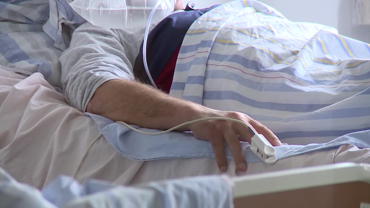 SA-KORONA JAJCE PKG-SNM-1