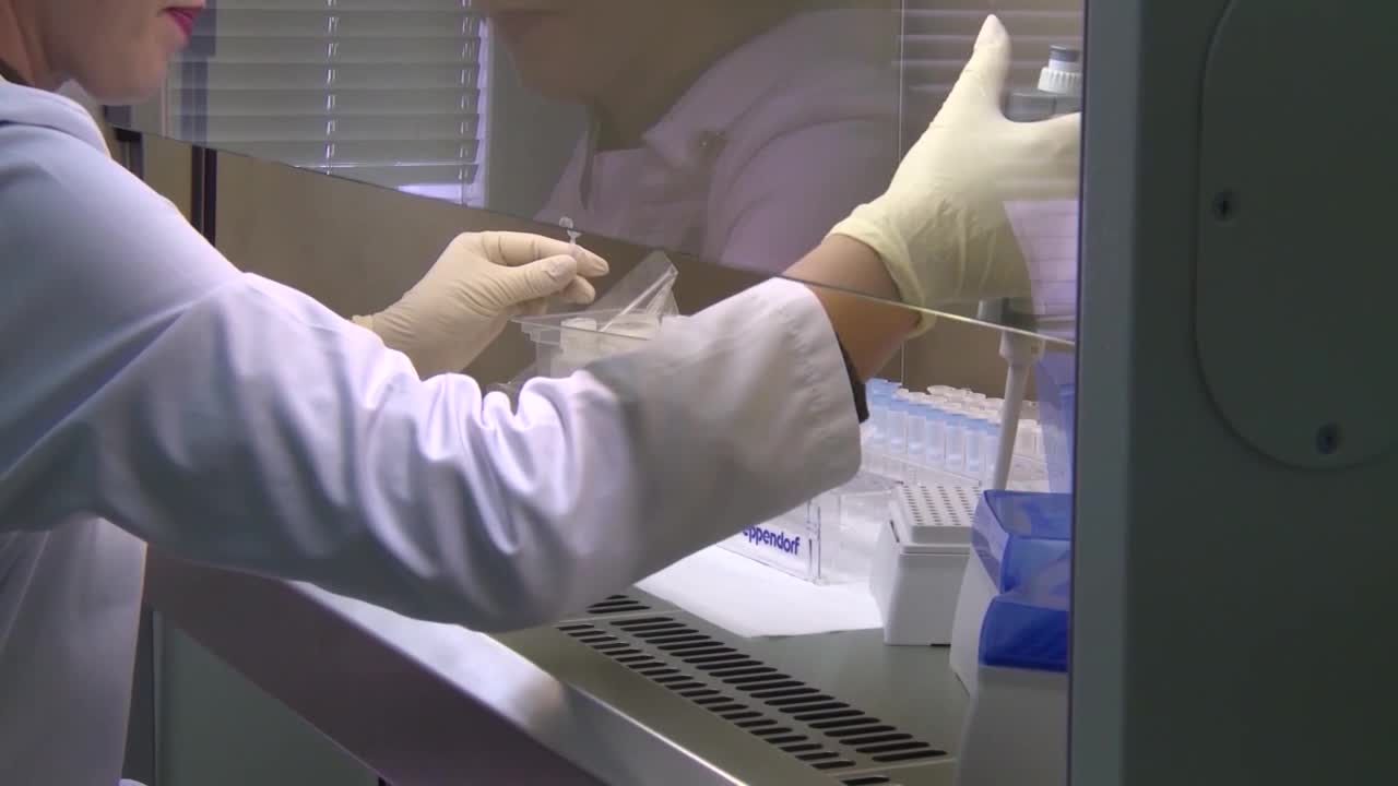 SA-KORONA LKLV-19-NIV-2