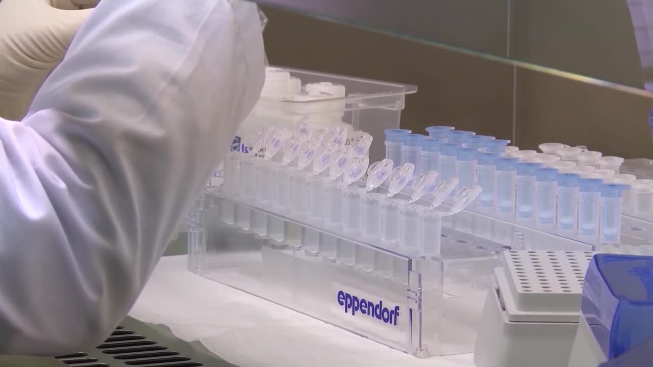 SA-KORONA UPDATE LKLV 19-NIV-1