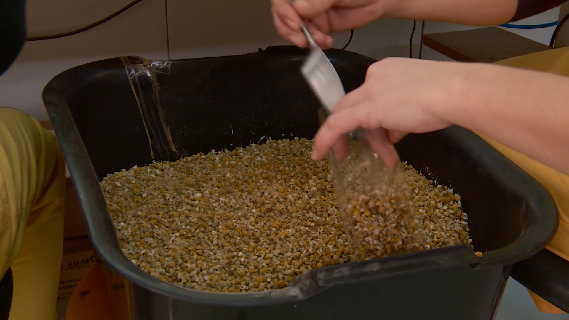 SA-KORUPCIJA PKG-19-BOB-1(20181207-175022910).00_00_00_17.Still007