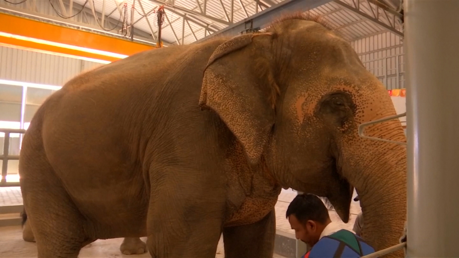 sa-live 1-1525-231118.00_04_27_16.Still007