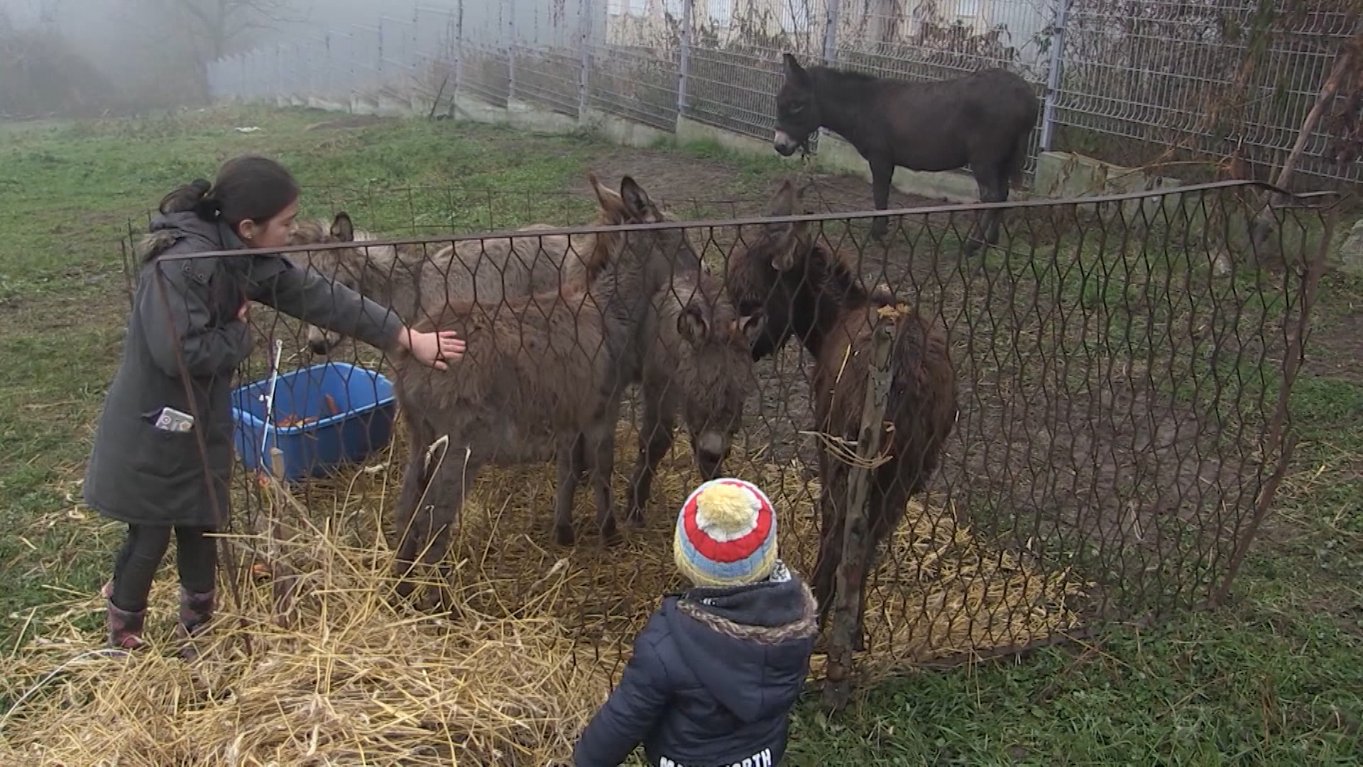 SA-MAGARCI PKG-19-NAT-1(20201205-152944900).mxf.00_00_59_24.Still001