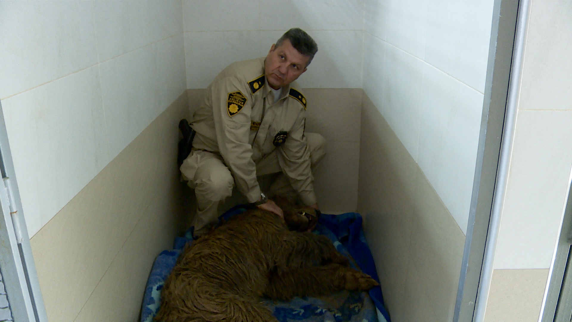 SA-MEDVJEDICA PKG-ADB-2(20200525-190742490).mxf.00_02_10_10.Still001