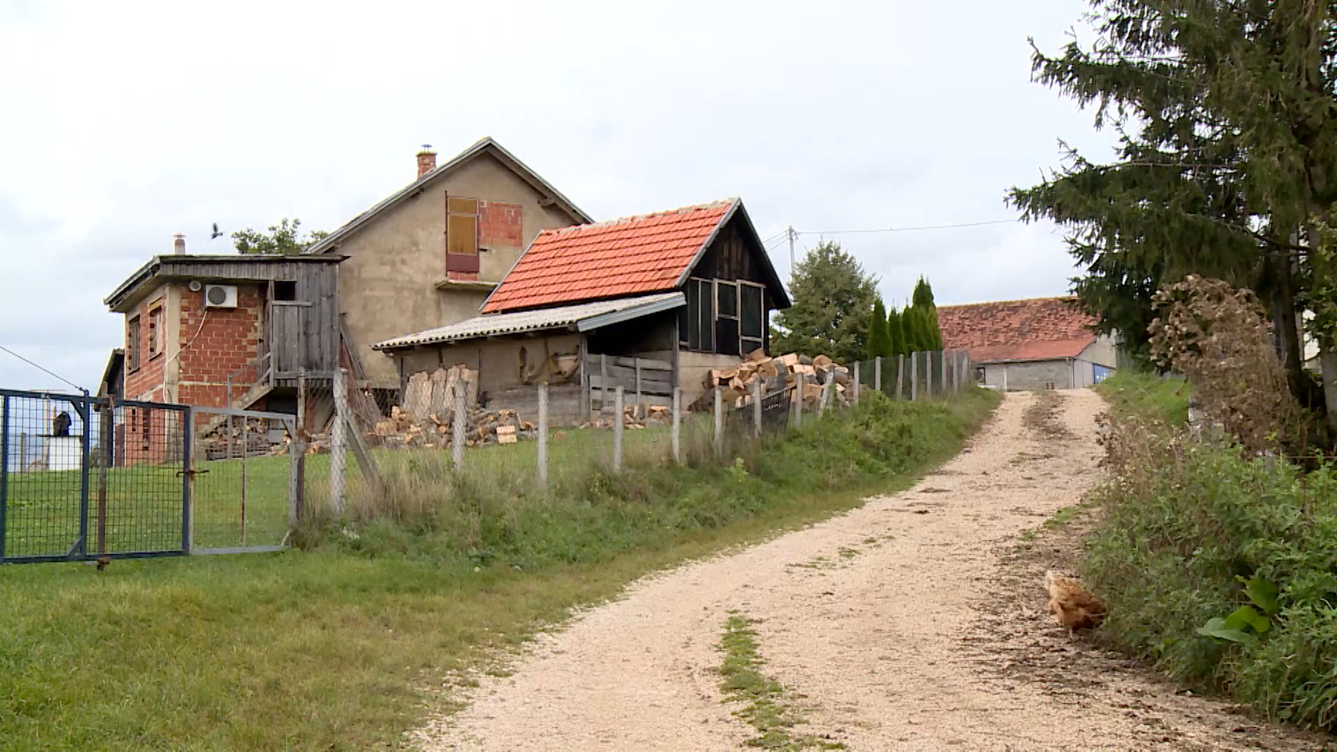 SA-MIGRANTI VO 2-BOB-1(20200926-161822348).00_00_04_06.Still004