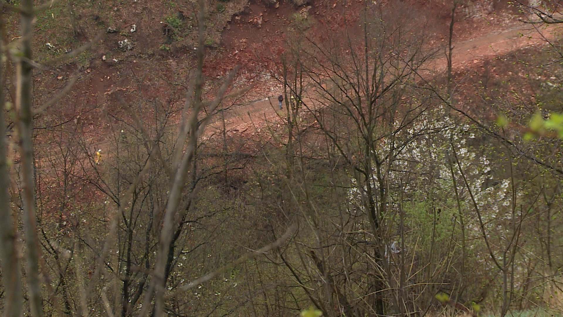 SA-NESRECA PALE PKG-19-TJD-1(20190413-173042580).00_00_05_13.Still001