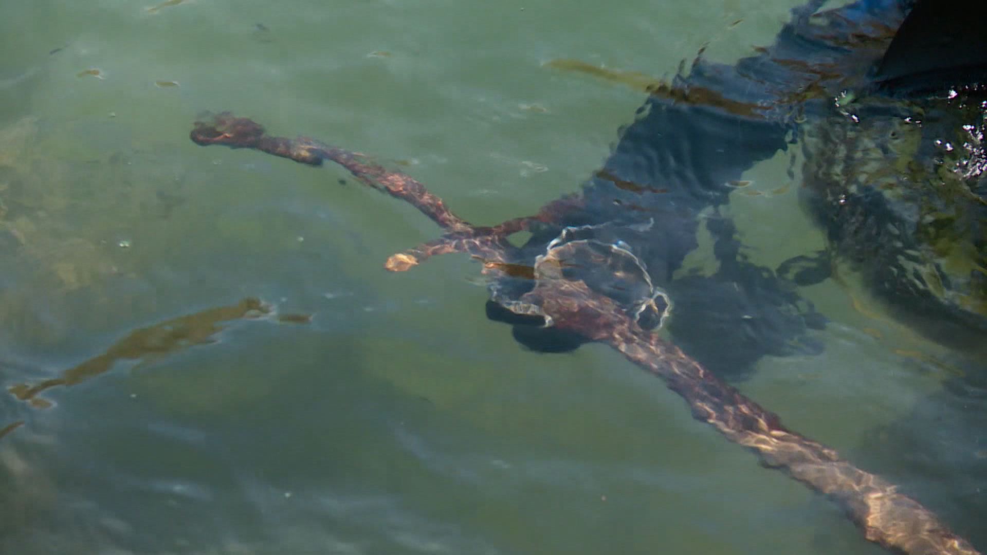 SA-NOVE KONTROLE GRANICA PKG-ADS(20191017-163132277).00_00_08_02.Still006