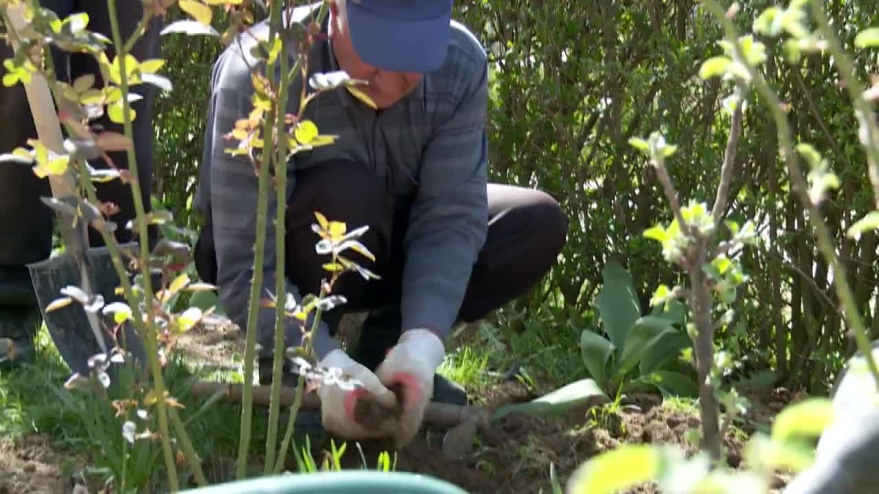 SA-POLJOPRIVREDA KORONA PKG-IER-1