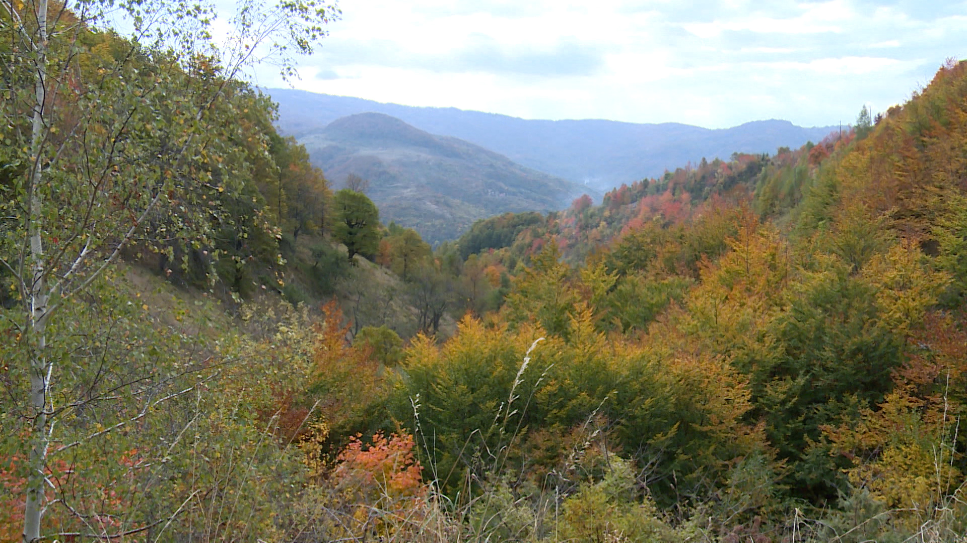 SA-POZETVA-PKG-19-SEM-1(20191019-153601277).00_02_59_00.Still006