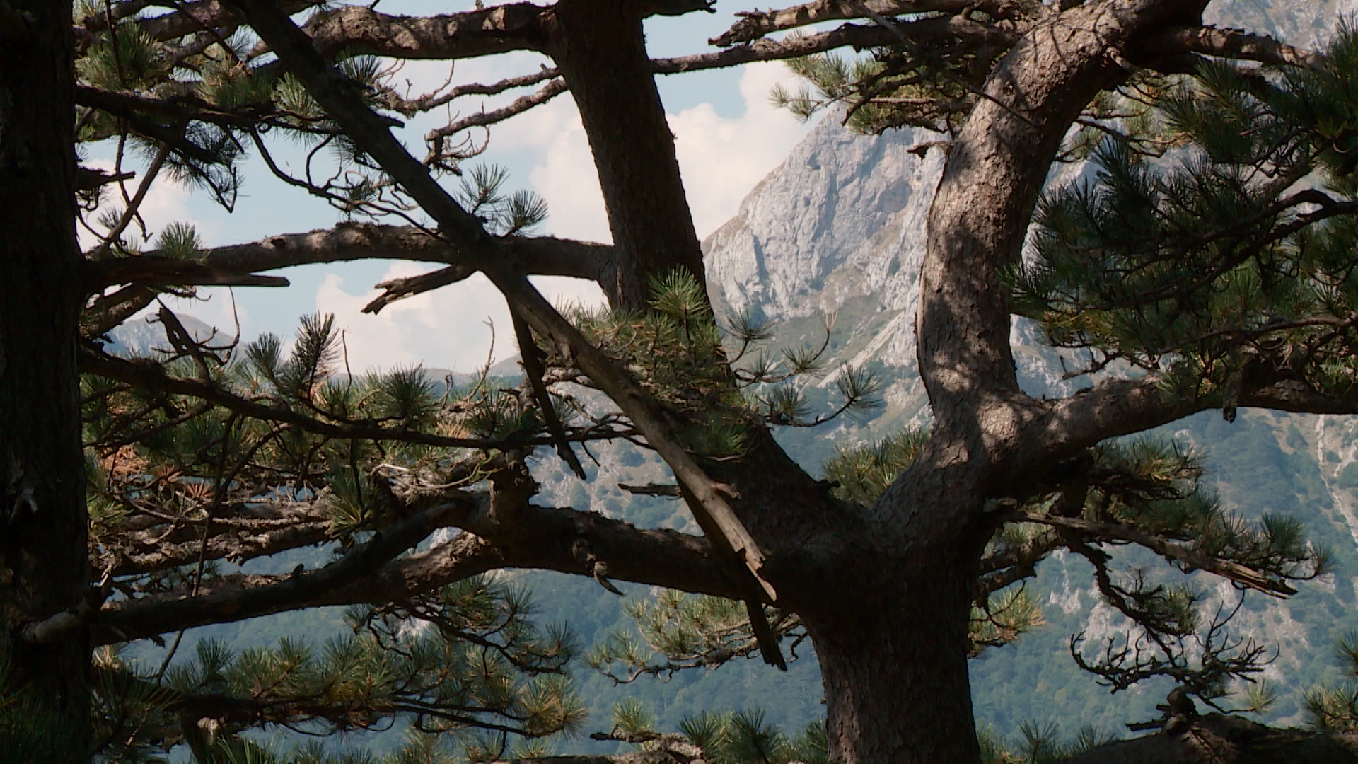 SA-PREDSTAVA DEJTON PKG-ANM-1(20190830-153508017).00_01_30_23.Still016