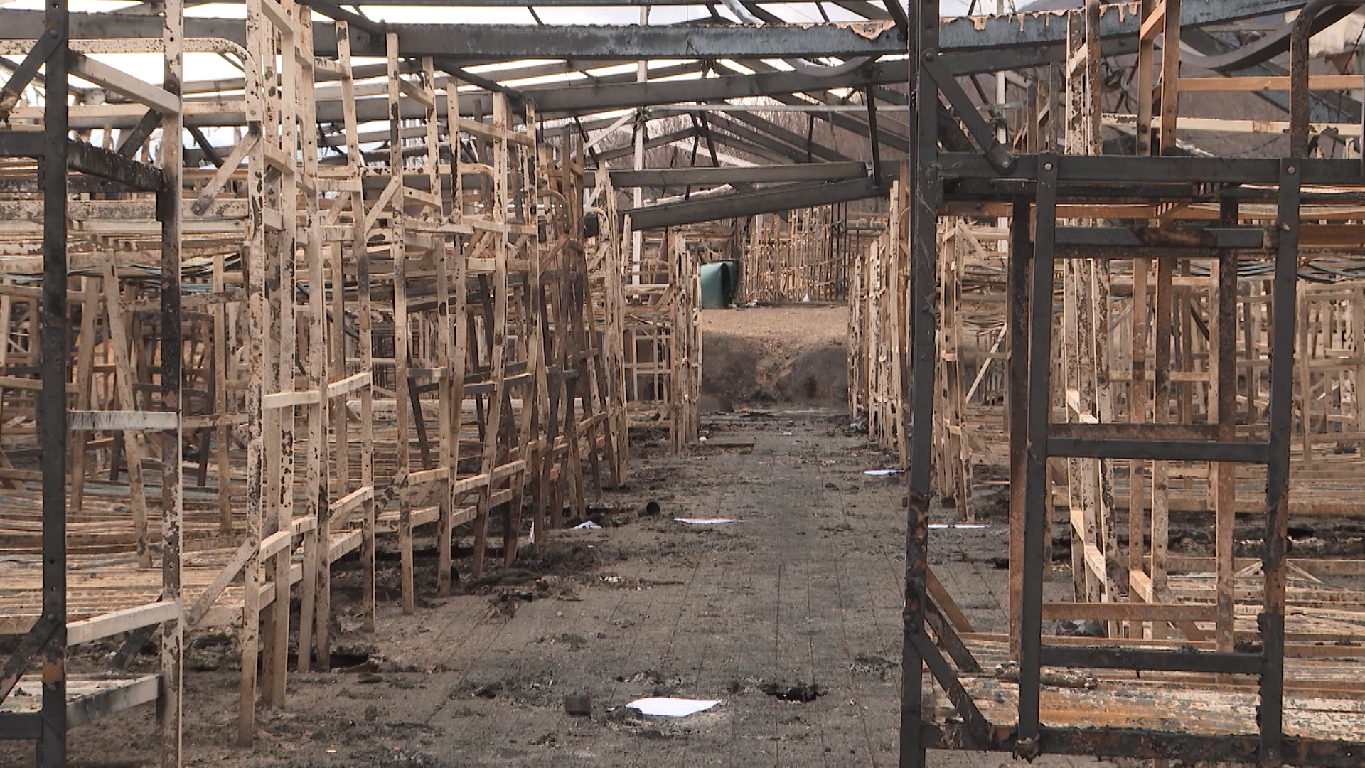 sa-selmo cikotic-clf-241220_1.00_00_04_18.Still006