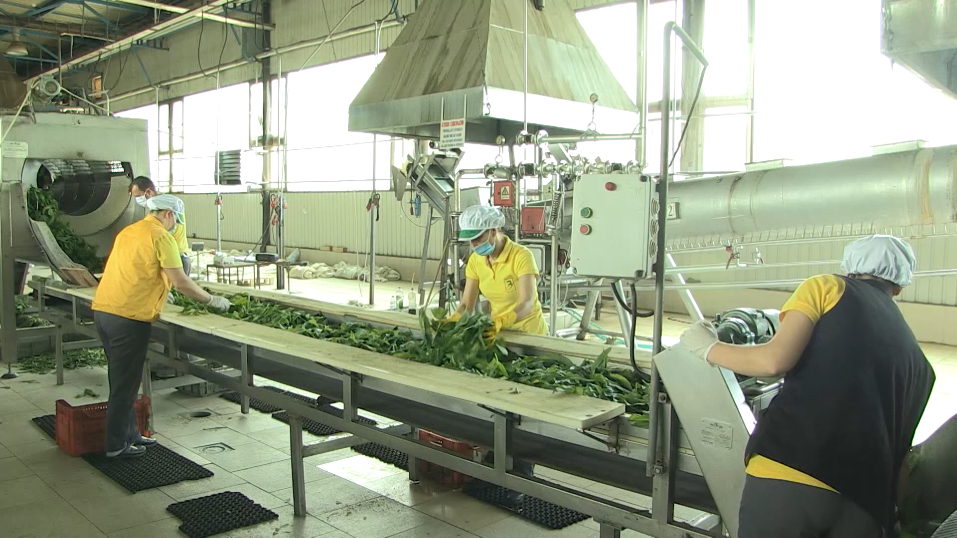 SA-SEMBERIJA PKG-NAT-1(20200514-174216274).mxf.00_00_00_00.Still001