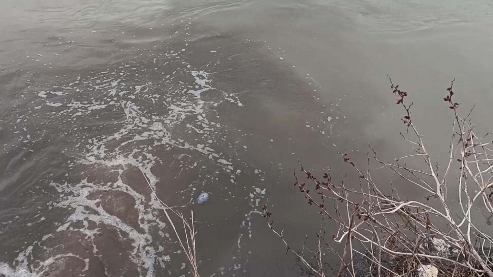 SA-SPRECA ZAGADJENJE PKG-NAT-1(20200314-180048681).mxf.00_02_48_21.Still002