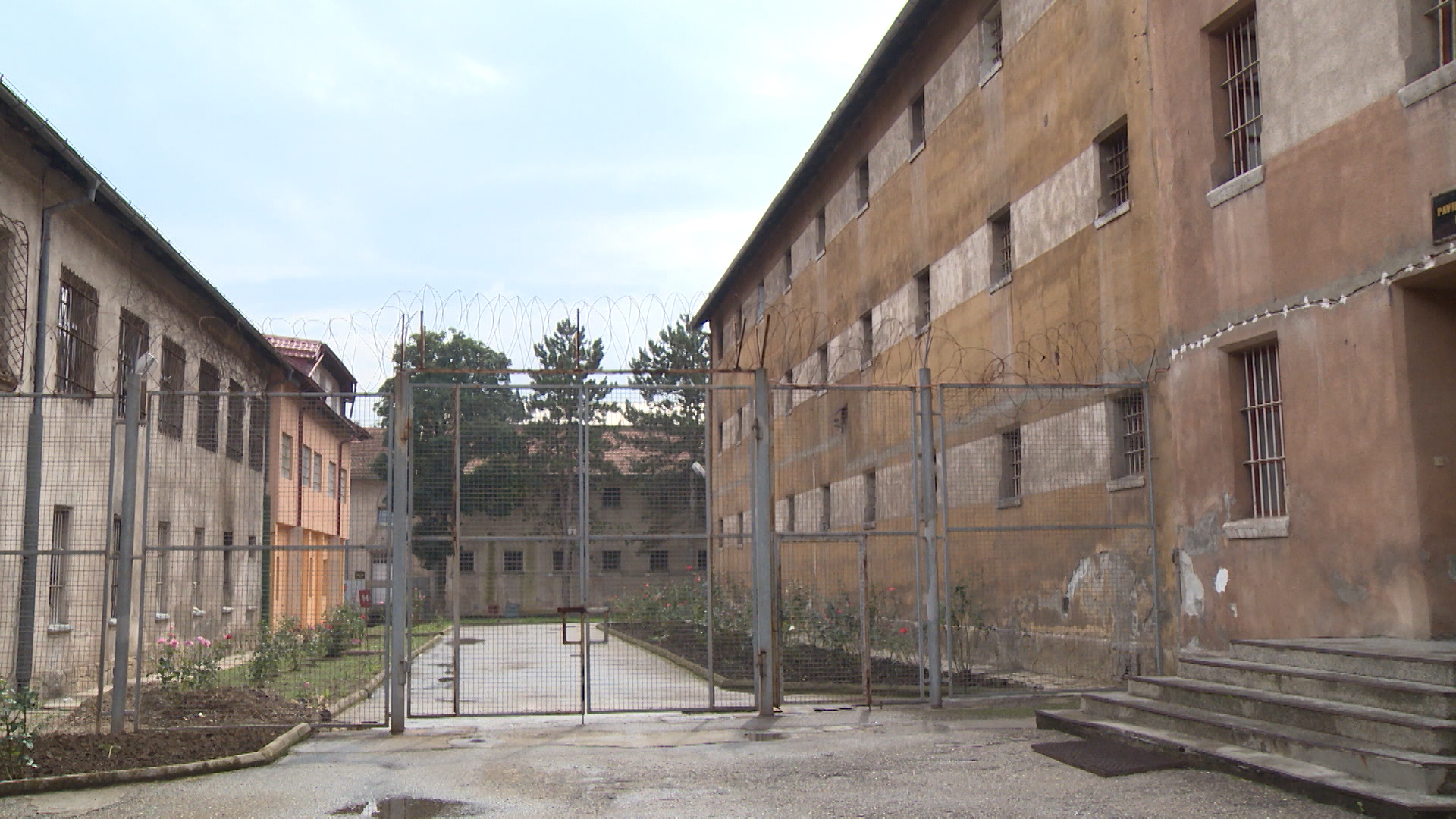 SA-TIJANIN ZAKON PKG-ALT-1(20191203-163545811).00_03_24_06.Still001