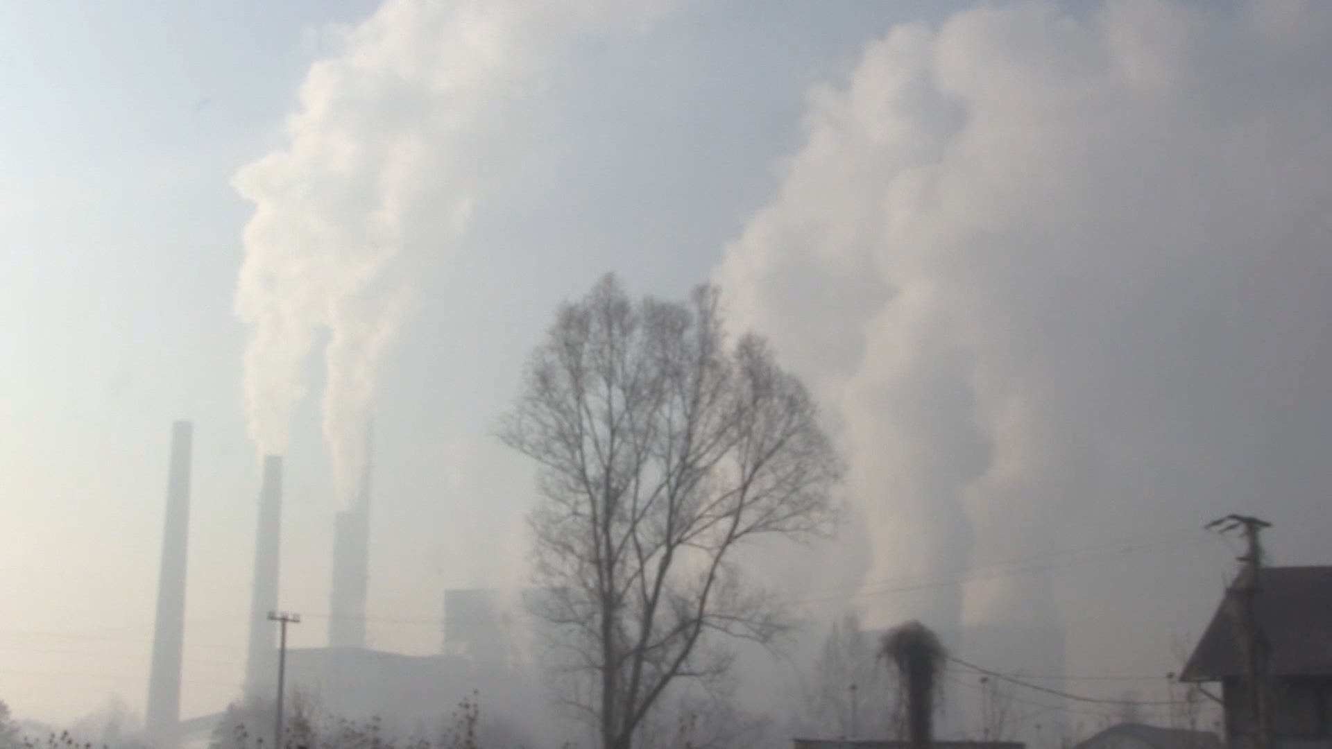 sa-tuzla oboljenja pkg-nat(20200114-164945575).mxf.00_00_45_03.Still001