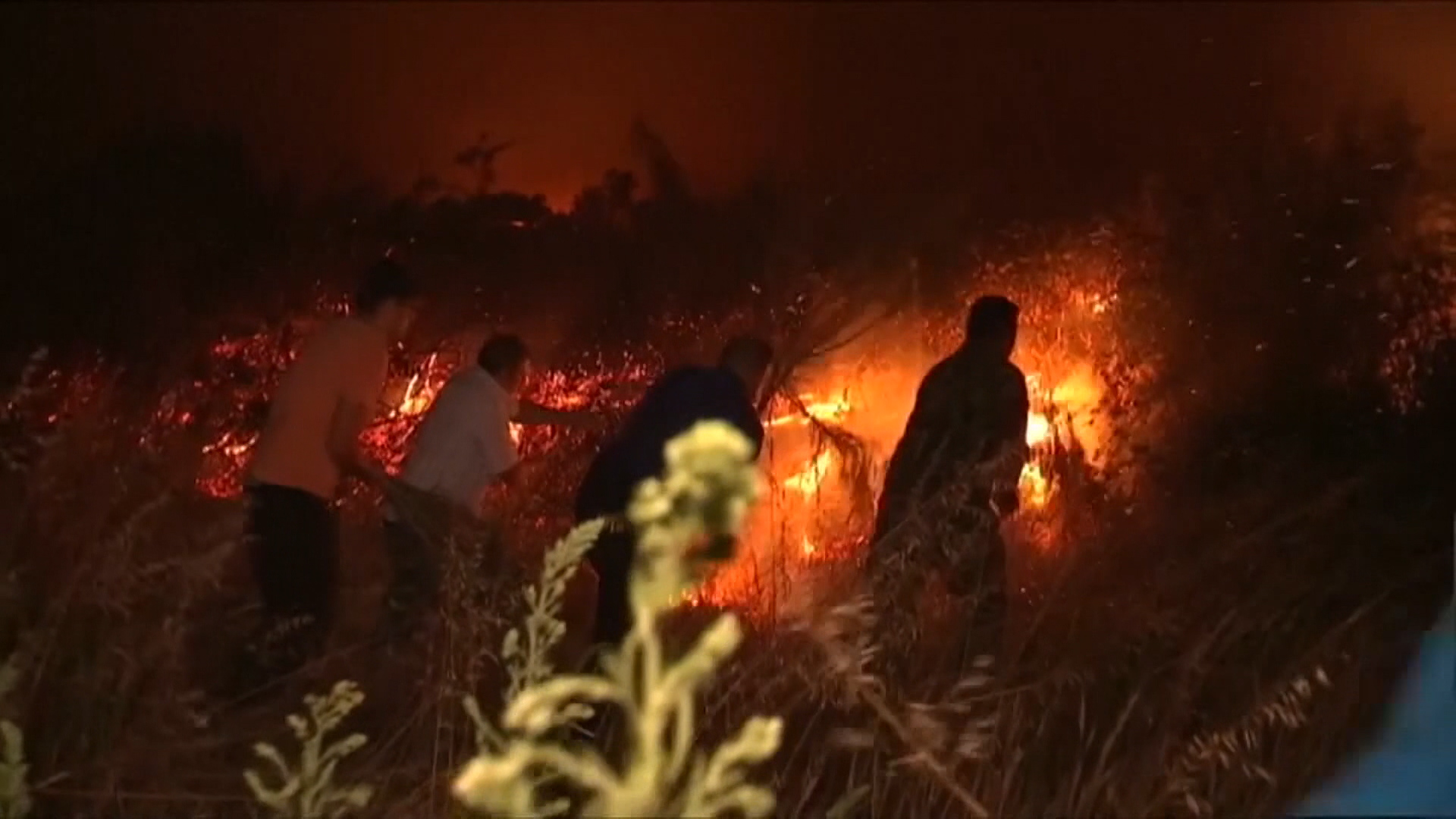 SA-UCIONICA SKYPE PKG-19-AIH-1(20180427-141845613).00_02_03_24.Still007