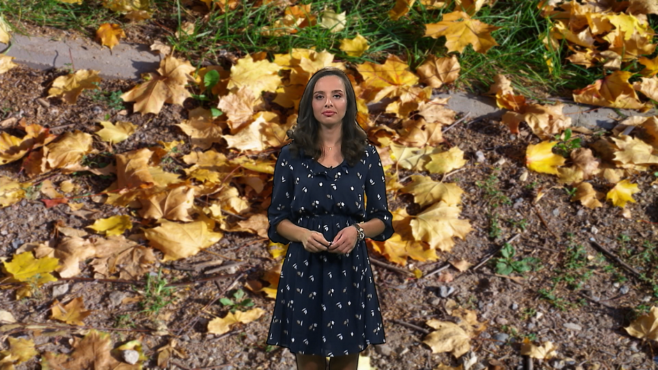 SA-VREME ND-040919-MIL(20190903-124237537).mxf.00_00_00_00.Still001